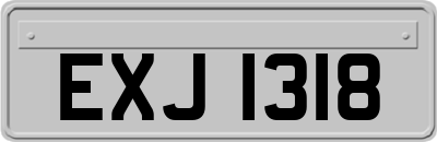 EXJ1318