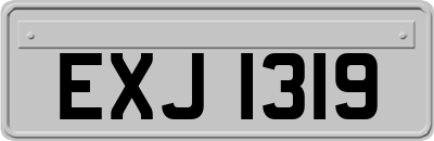 EXJ1319