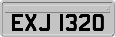 EXJ1320