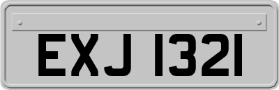 EXJ1321