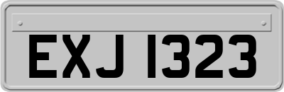 EXJ1323