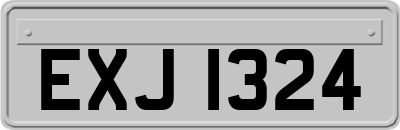 EXJ1324