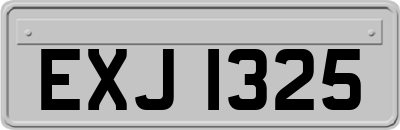 EXJ1325