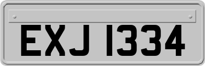 EXJ1334