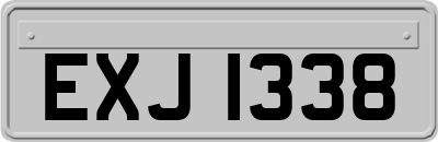EXJ1338