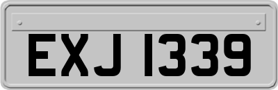 EXJ1339