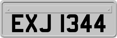 EXJ1344