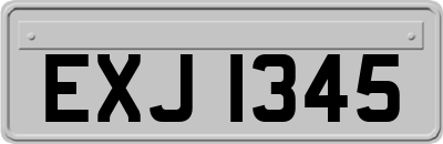 EXJ1345