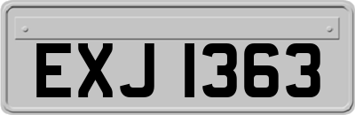 EXJ1363