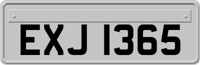 EXJ1365