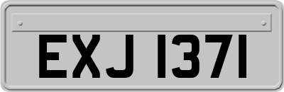 EXJ1371