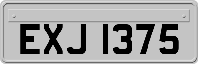 EXJ1375