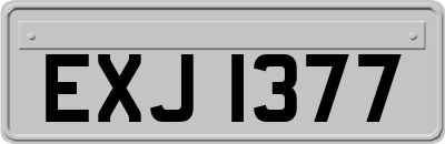 EXJ1377