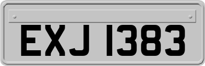 EXJ1383
