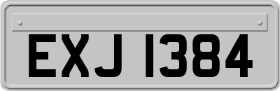 EXJ1384