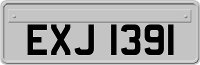 EXJ1391