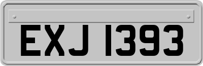 EXJ1393