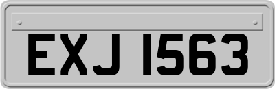 EXJ1563