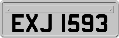 EXJ1593