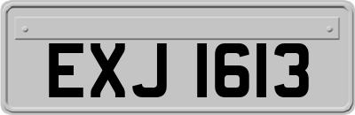EXJ1613