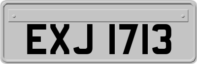 EXJ1713