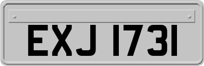 EXJ1731
