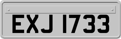 EXJ1733