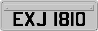 EXJ1810