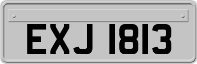 EXJ1813