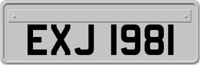 EXJ1981
