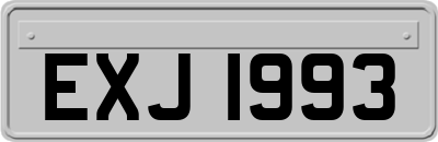 EXJ1993