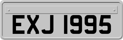 EXJ1995