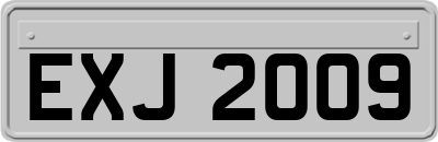 EXJ2009