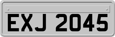 EXJ2045
