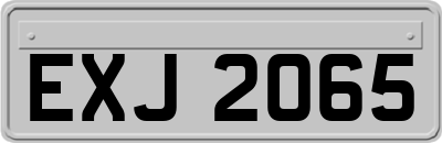 EXJ2065