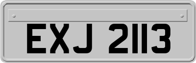 EXJ2113