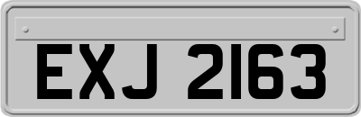 EXJ2163