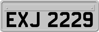 EXJ2229