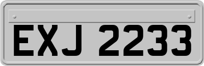 EXJ2233