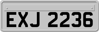 EXJ2236