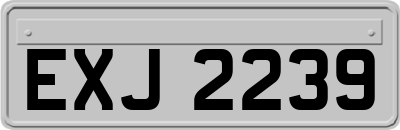 EXJ2239