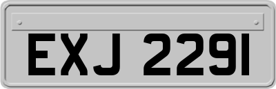 EXJ2291