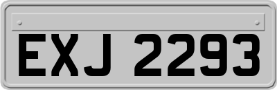 EXJ2293