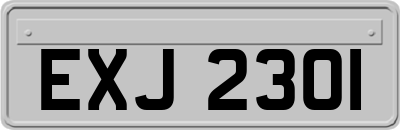 EXJ2301
