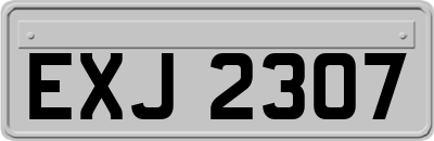 EXJ2307