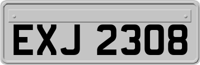 EXJ2308