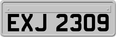 EXJ2309