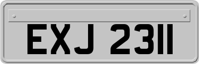 EXJ2311