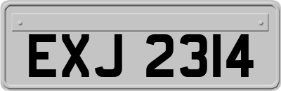 EXJ2314