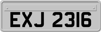 EXJ2316